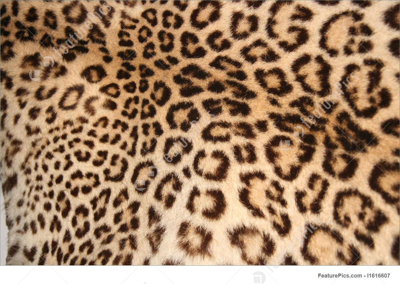 Mac os x snow leopard download free